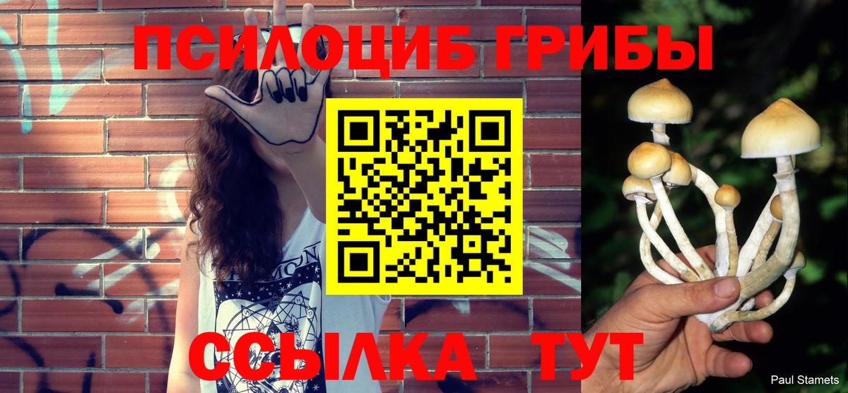 Красный Сулин  Псилоцибиновые грибы Psilocybe  Вход с VPN  Галлюциногенные грибы MAGIC MUSHROOMS 