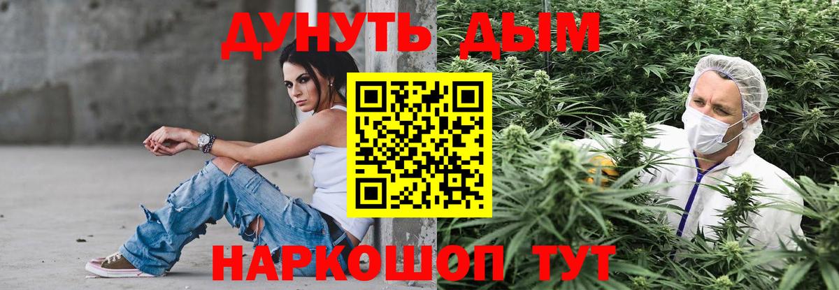 Шишки марихуана план  Шишки марихуана SATIVA & INDICA  Красный Сулин  Канабис план  Вход с VPN  Каннабис марихуана 